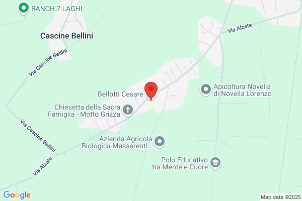 Bellotti Cesare Srl