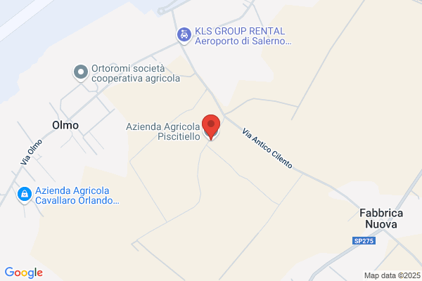 Azienda Agricola Piscitiello