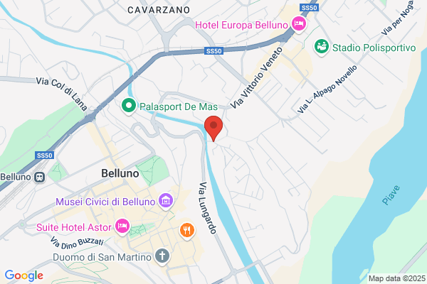 Collegio Regionale Maestri Sci Regione Veneto