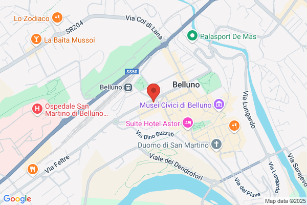 Il Futuro Di Bellei Matteo