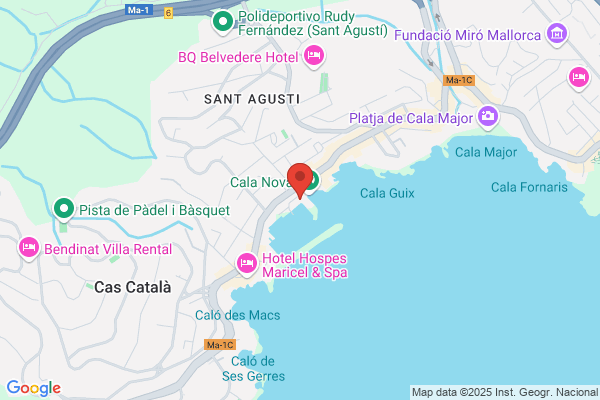 Palma bruno (Ing.)