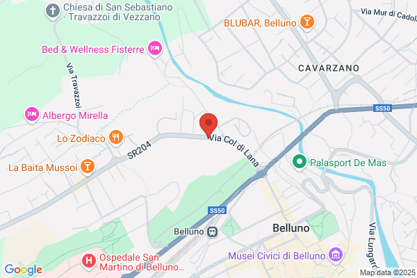 Forze Armate/16[ Reggimento Belluno