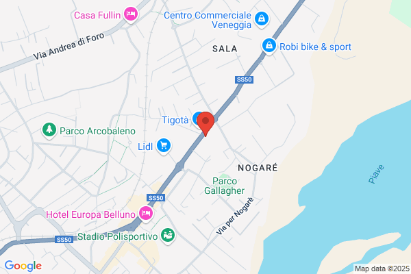 Elettroingross Srl