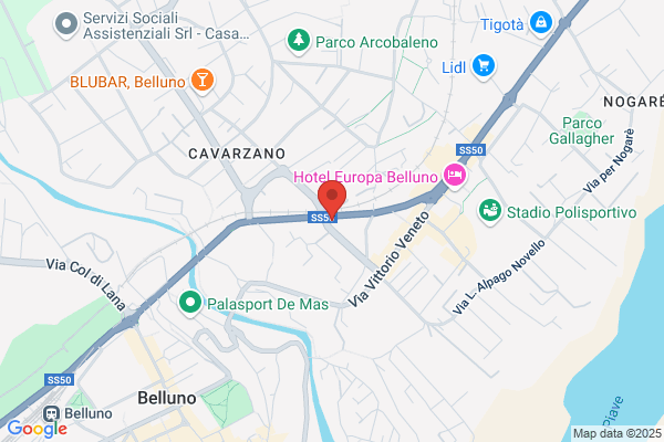 S.S.E. Sicurezza & Servizi Per Ledilizia