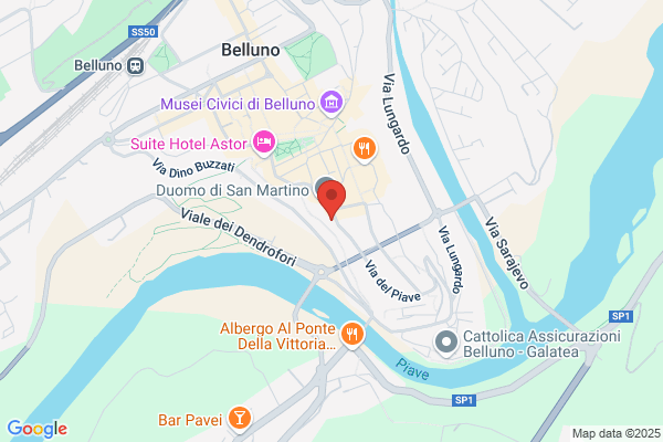 Gestione Sinistri Srl