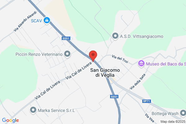 Paludetto luigi