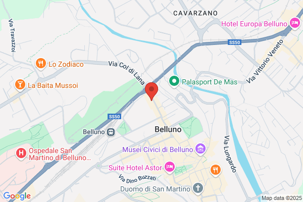 Caaf Cgil Belluno Centro Servizi Fiscale