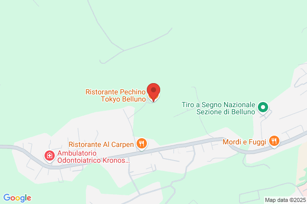 Ristorante Pechino Di Lin Ling & C. s.A.S.