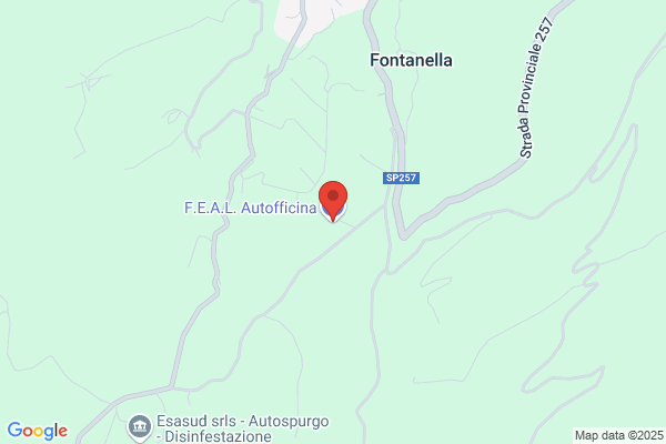 F.E.A.L. Autofficina