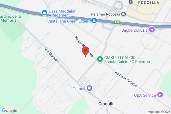 Ra.Vi. Disinfestazione - Derattizzazione