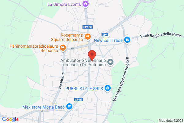 Istituto Di Ricerca Studi E Servizi Avanzati S.R.L.