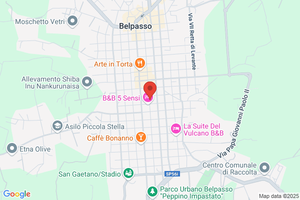 Molino attlio (Dr.)