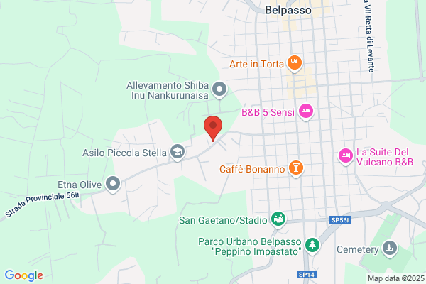 Distributore IP