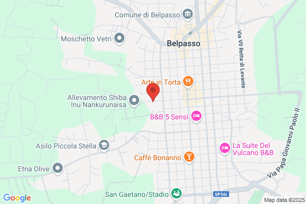 Fiammingo Sebastiano