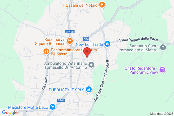 Puleo salvatore