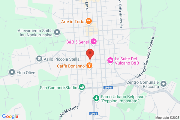 Sanital Di Schillaci Concita