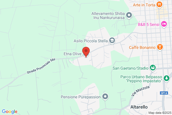 Etna Olive