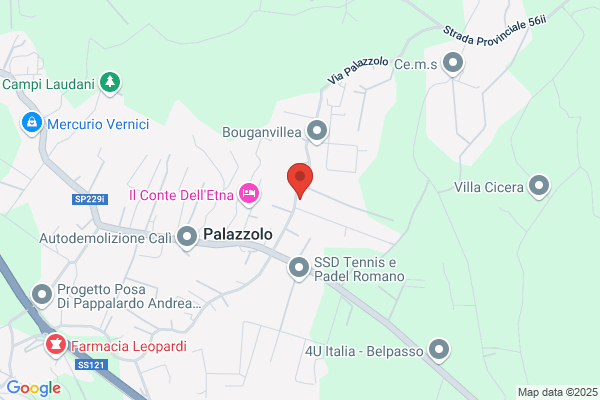 Grillo Distribuzione