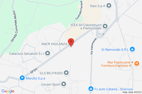 Ist.Vig. A.N.C.R. Srl