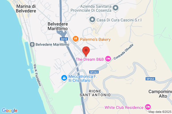 Palmieri giuseppe