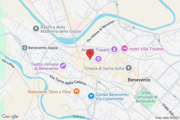Ibrido Di Rapuano Carlo
