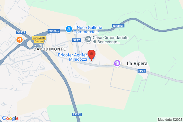 Minicozzi antonio
