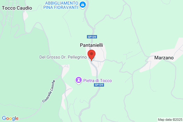 Perrotta pellegrino