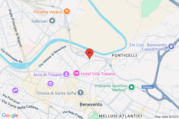Minocchia raffaele (Rag.)