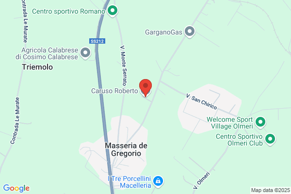 Ruggiero roberto