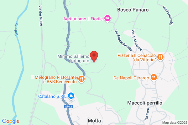 Salierno domenico