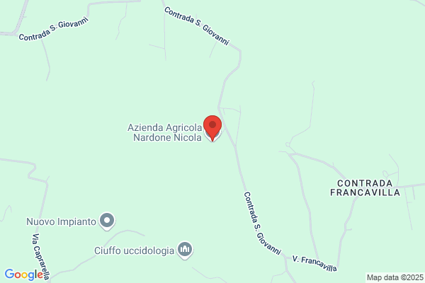 Nobile Mattei nicola (Dr.)