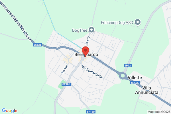 Guerreschi Enrico