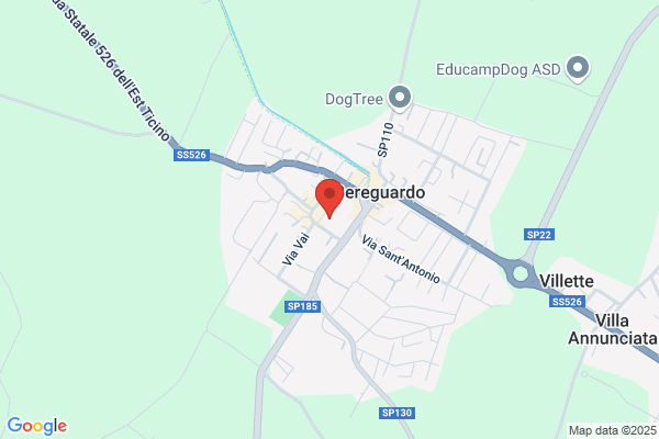 Municipio