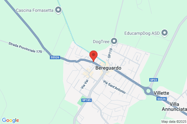 Newtarghe