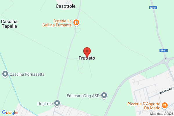 Tiozzo luca