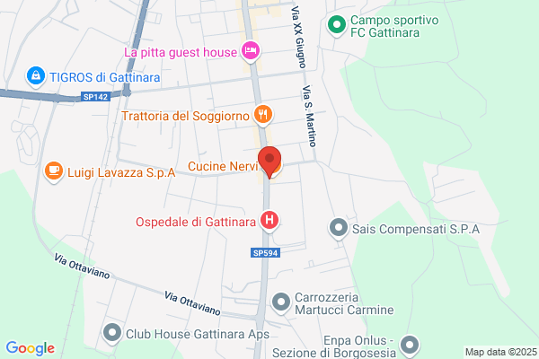 Nervi enrico