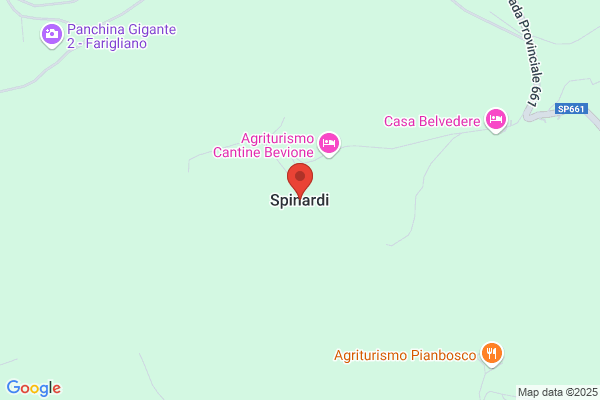 Spinardi claudio