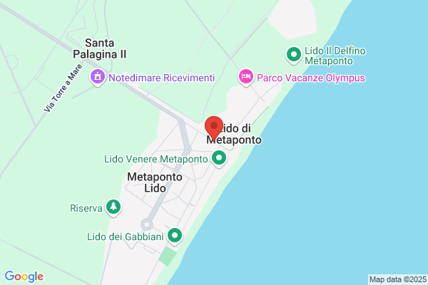 Harmonia dei Sapori di Nicola Locaso
