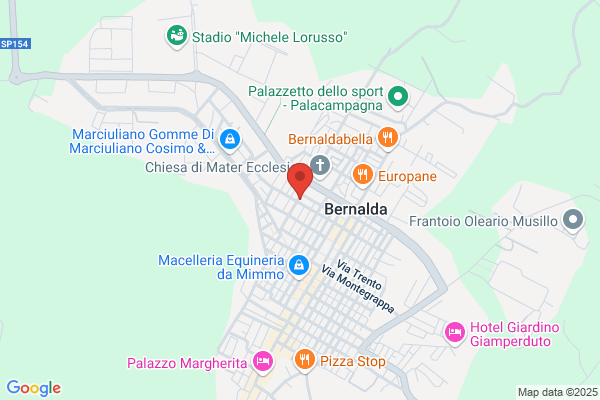 Ippedico F.Lli Centro Assistenza Tecnica S.D.F.