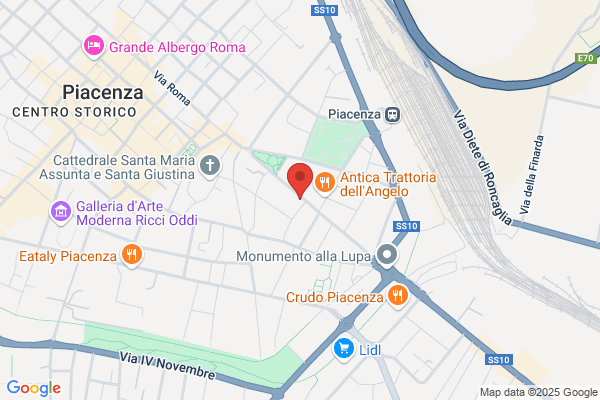 Partito Democratico Della Sinistra