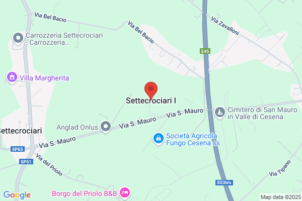 Mazzini sergio