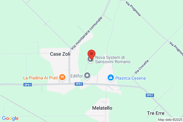 Sansovini fausto (Dr.)