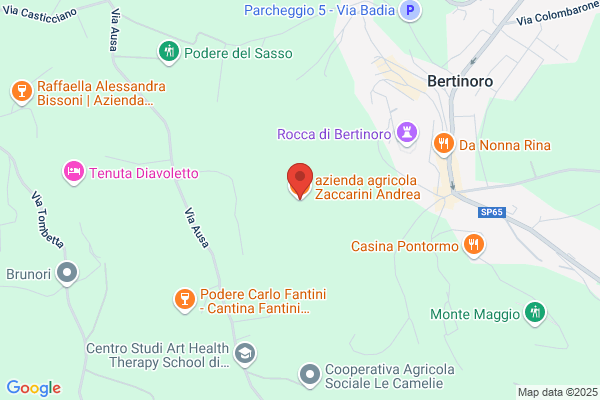 Zaccarini diano