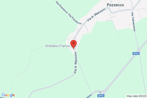 Ortolano franco