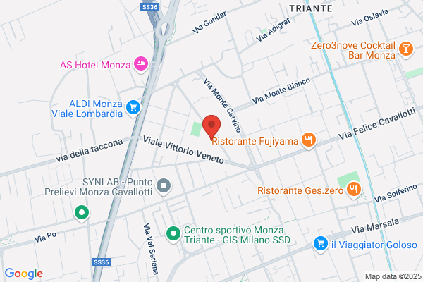 Longoni Costruzioni Srl