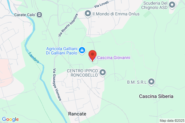 Pozzi giovanni