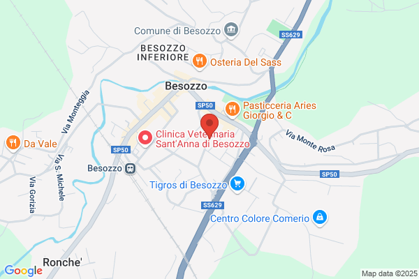 Ginelli Dr. Giorgio