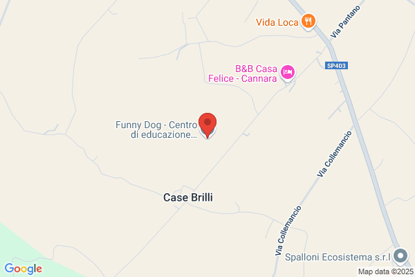 Funny Dog di Cascioli Leonardo - Educazione, Sport e Pensione per Cani