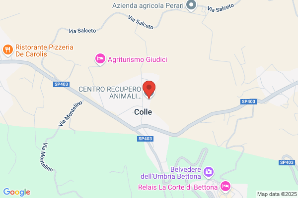Clinica Euroveterinaria Medici Associati