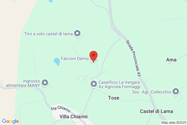 Falcioni Pierino